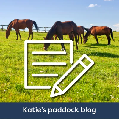 Katies Paddock Blog