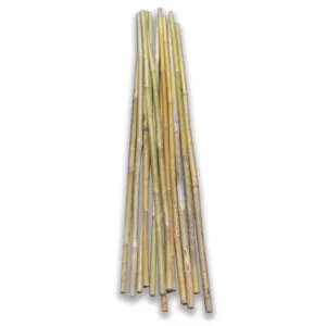  Bamboo Canes - Pack Of 10