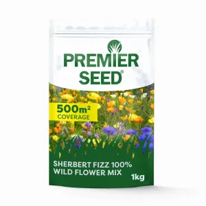 Sherbert Fizz 100% Wild Flower Mix 1kg