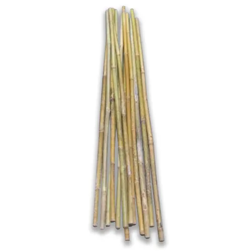 Bamboo Canes - Pack Of 10