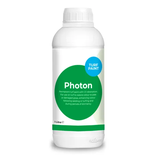 Photon 1L