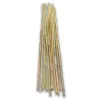 Bamboo Canes - Pack Of 10