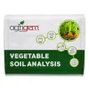 Vegetable Soil Analysis