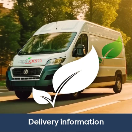 Company Information - Delivery Information