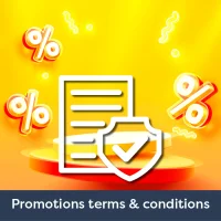 Promotions Terms & Conditions